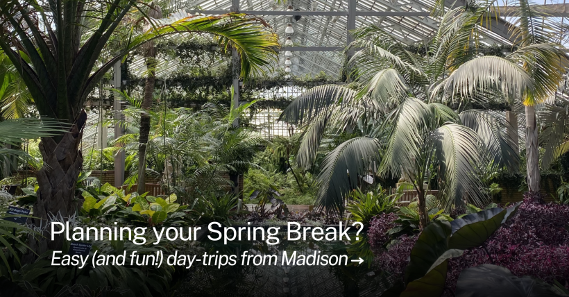 Spring Break Guide 2026 | Day Trips from Madison, WI